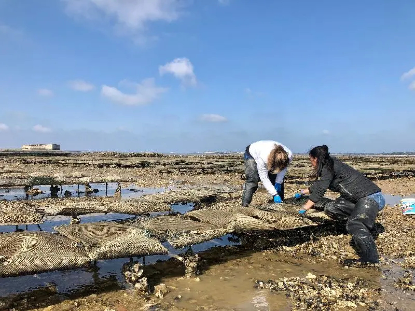 Boutique Hôtel d’Orbigny