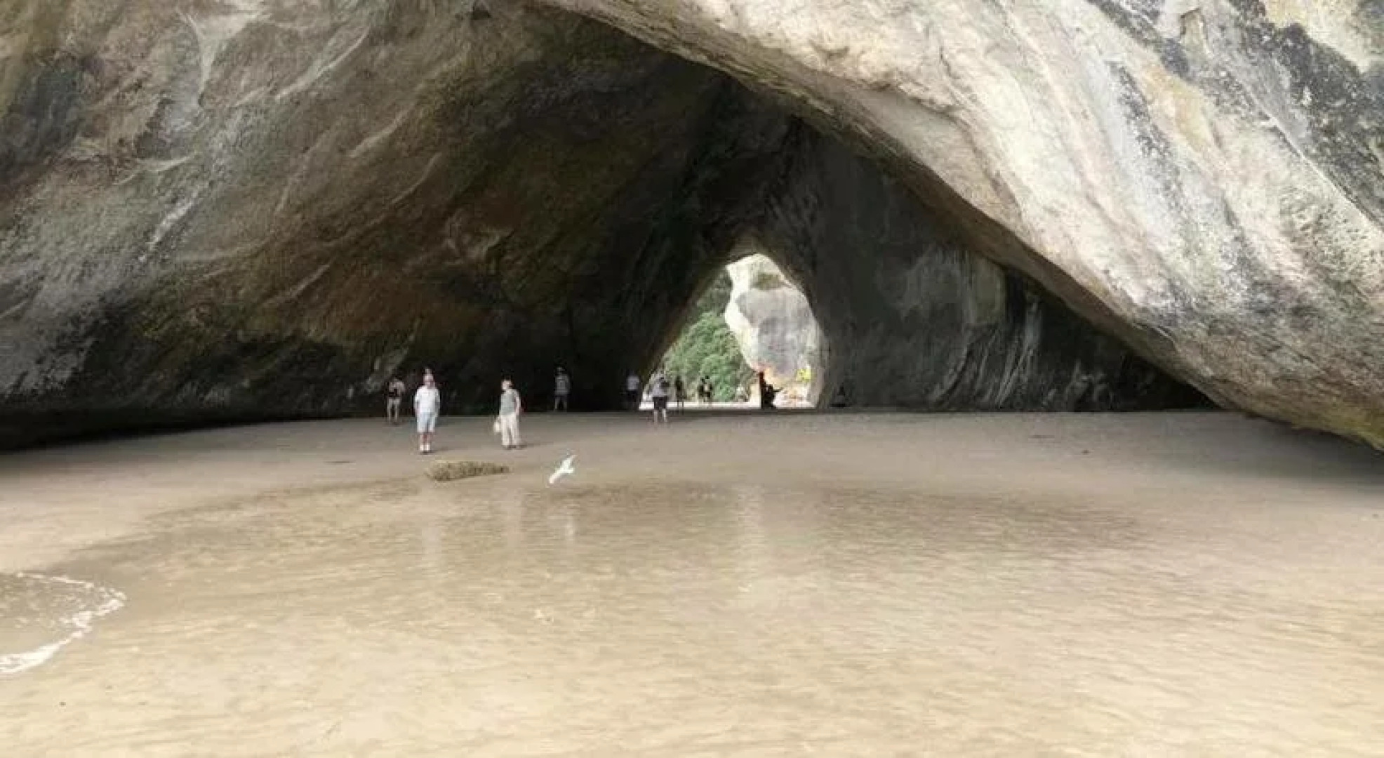 Plantation House Bed & Breakfast