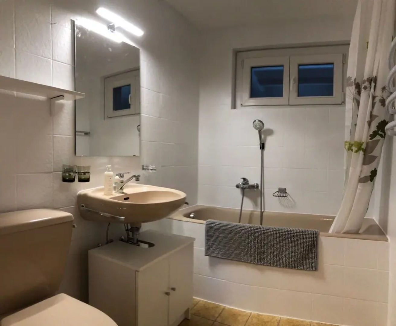 Appartements à Sions