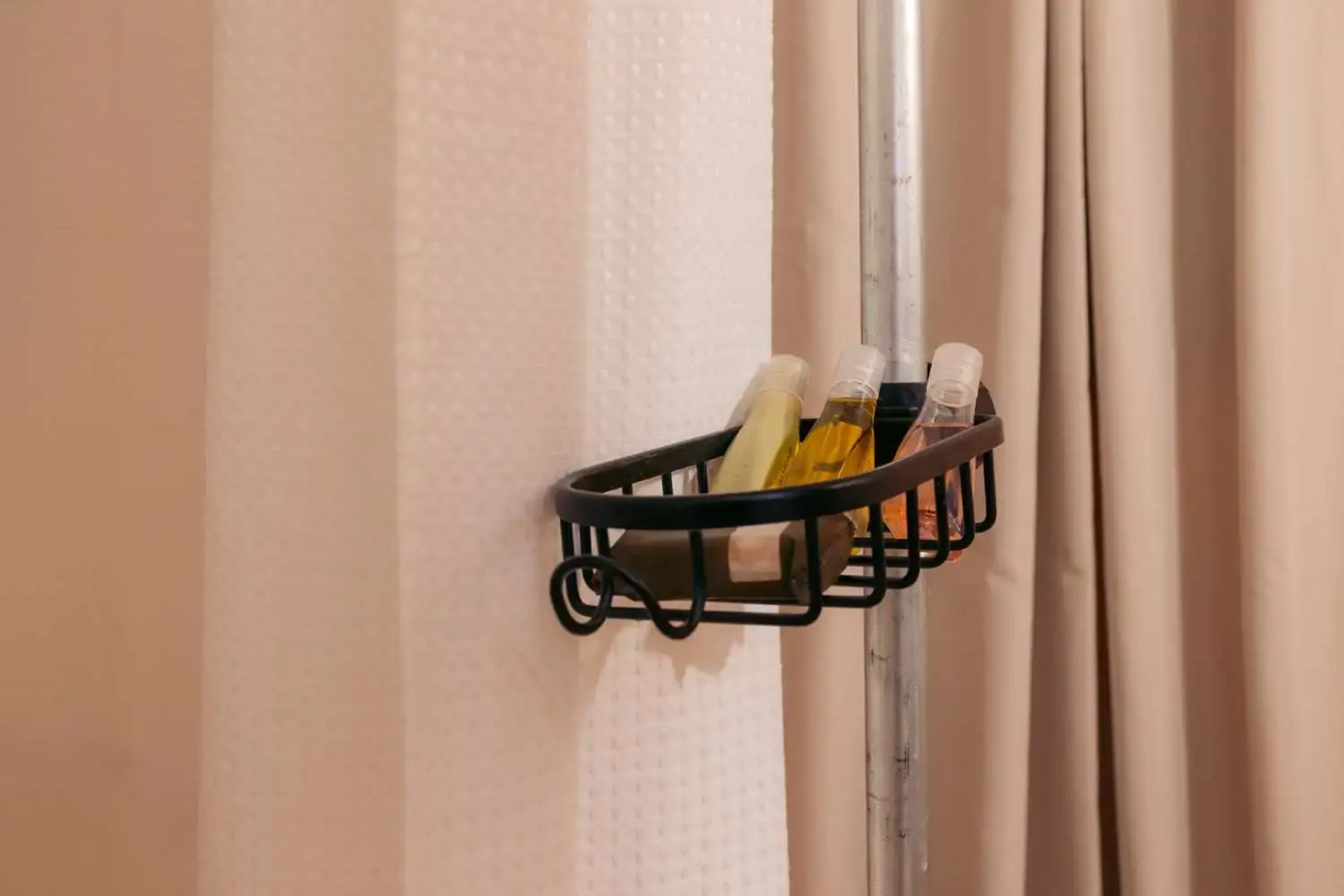 Zion Wildflower, BW Premier Collection