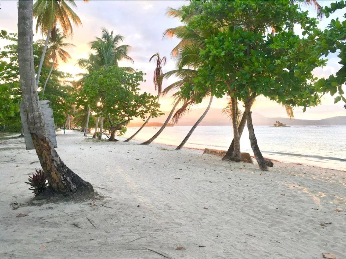 We Hostel and Suites Las Galeras