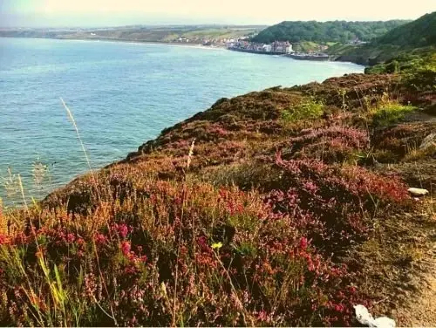 The Garden Apartment