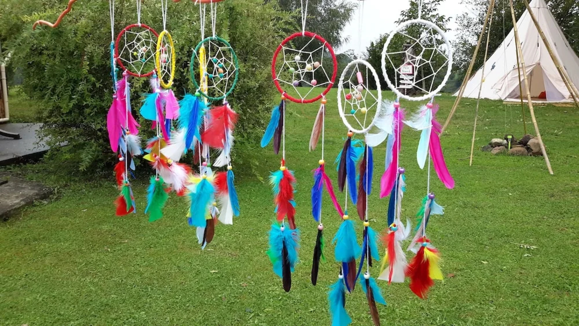 Les Hauts de Hurlevents - Le Buffalo