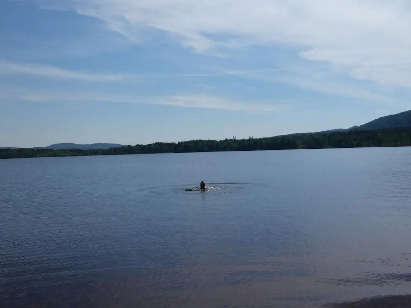 Knut's Camping och Lägenheter