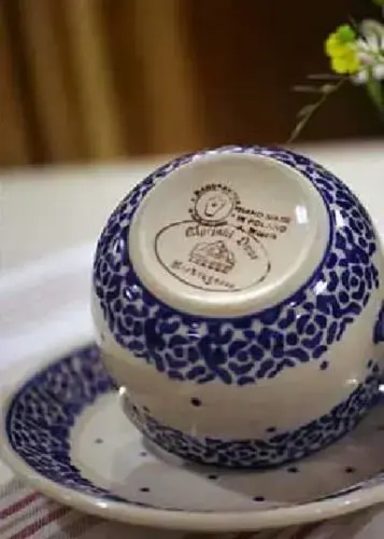 Pensjonat Alpejski Dwór