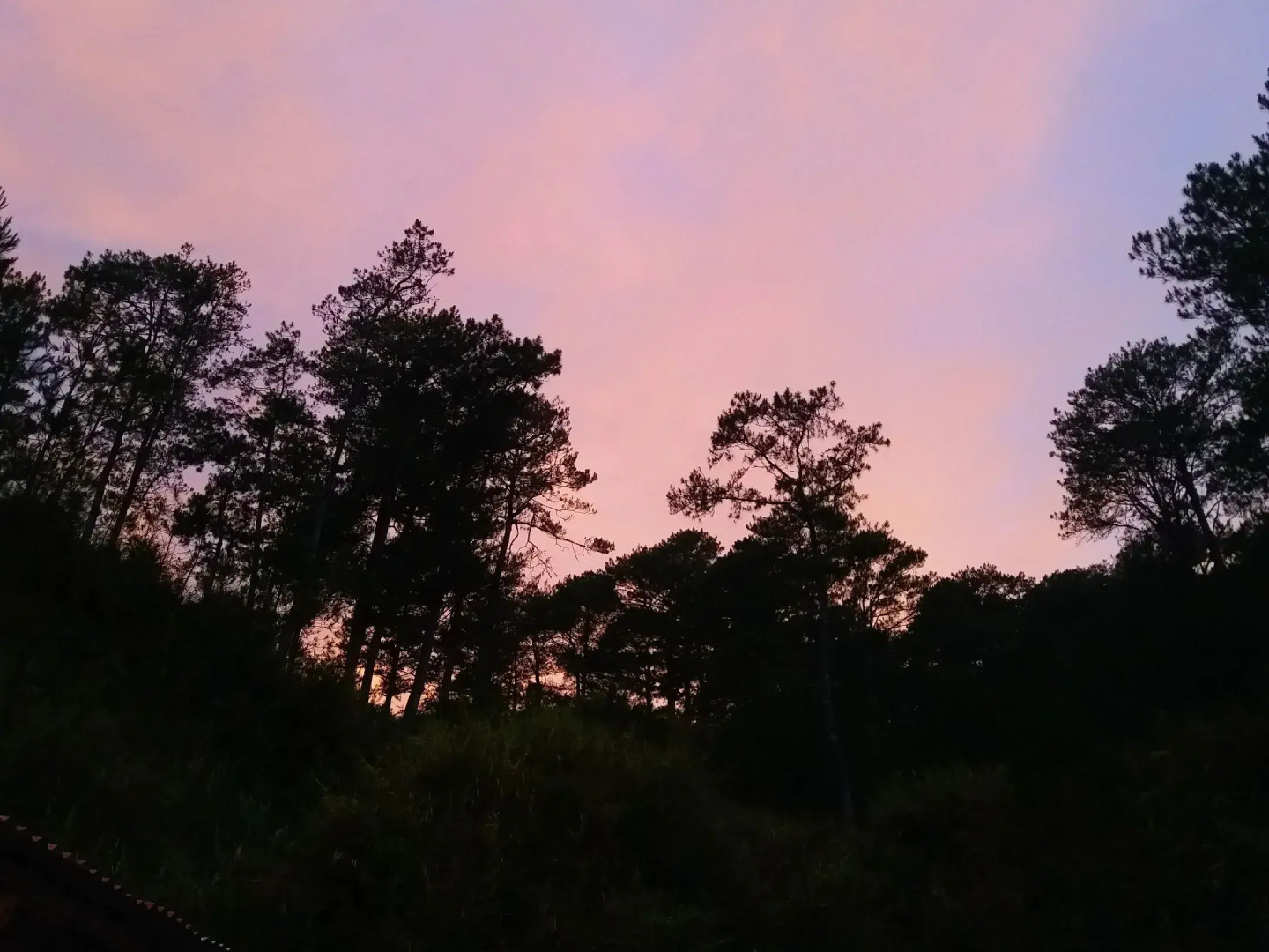 SEE TOO VILLE - Nature Lodge Sagada