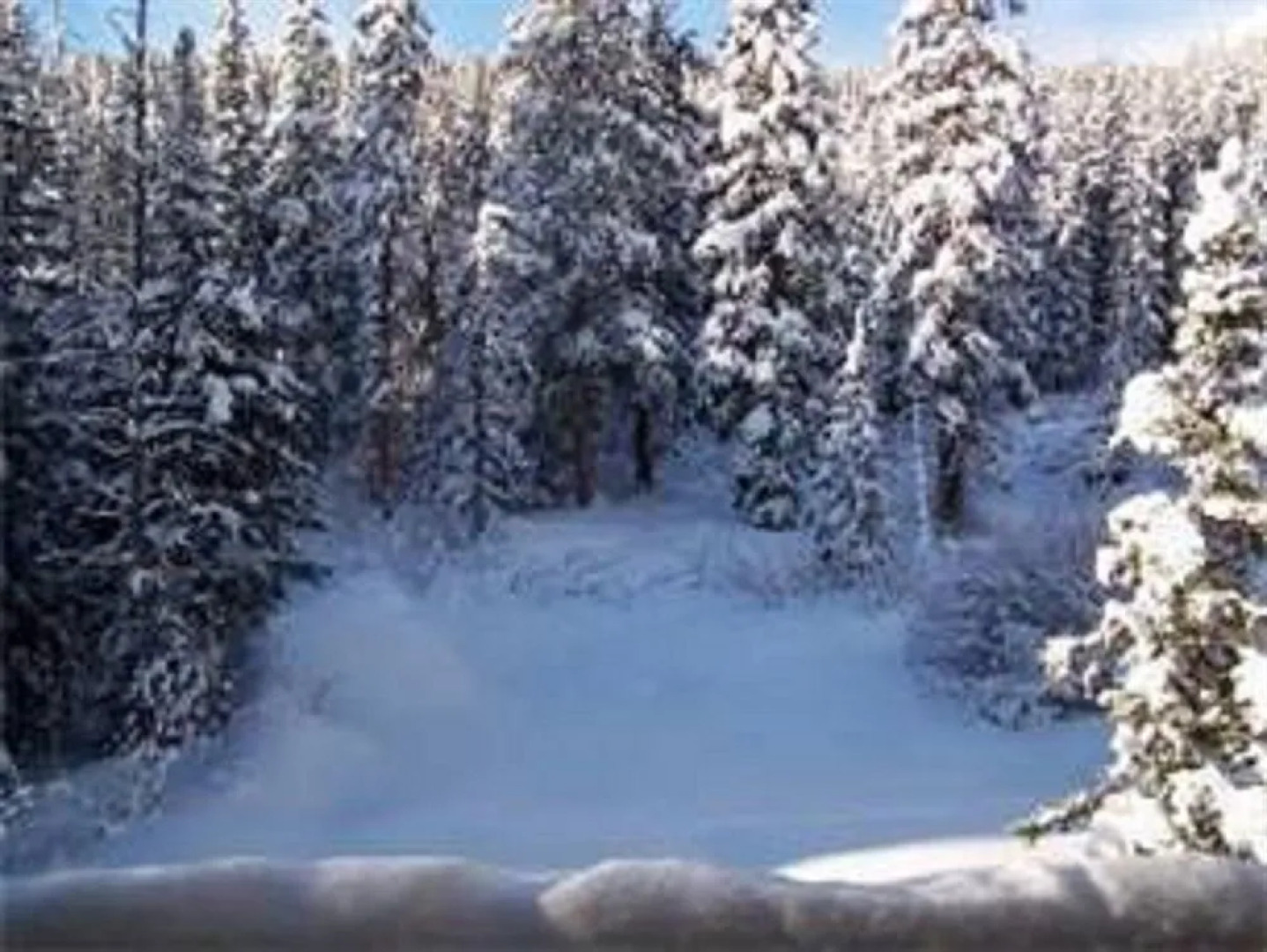 Mountain Managers At Silverthorne