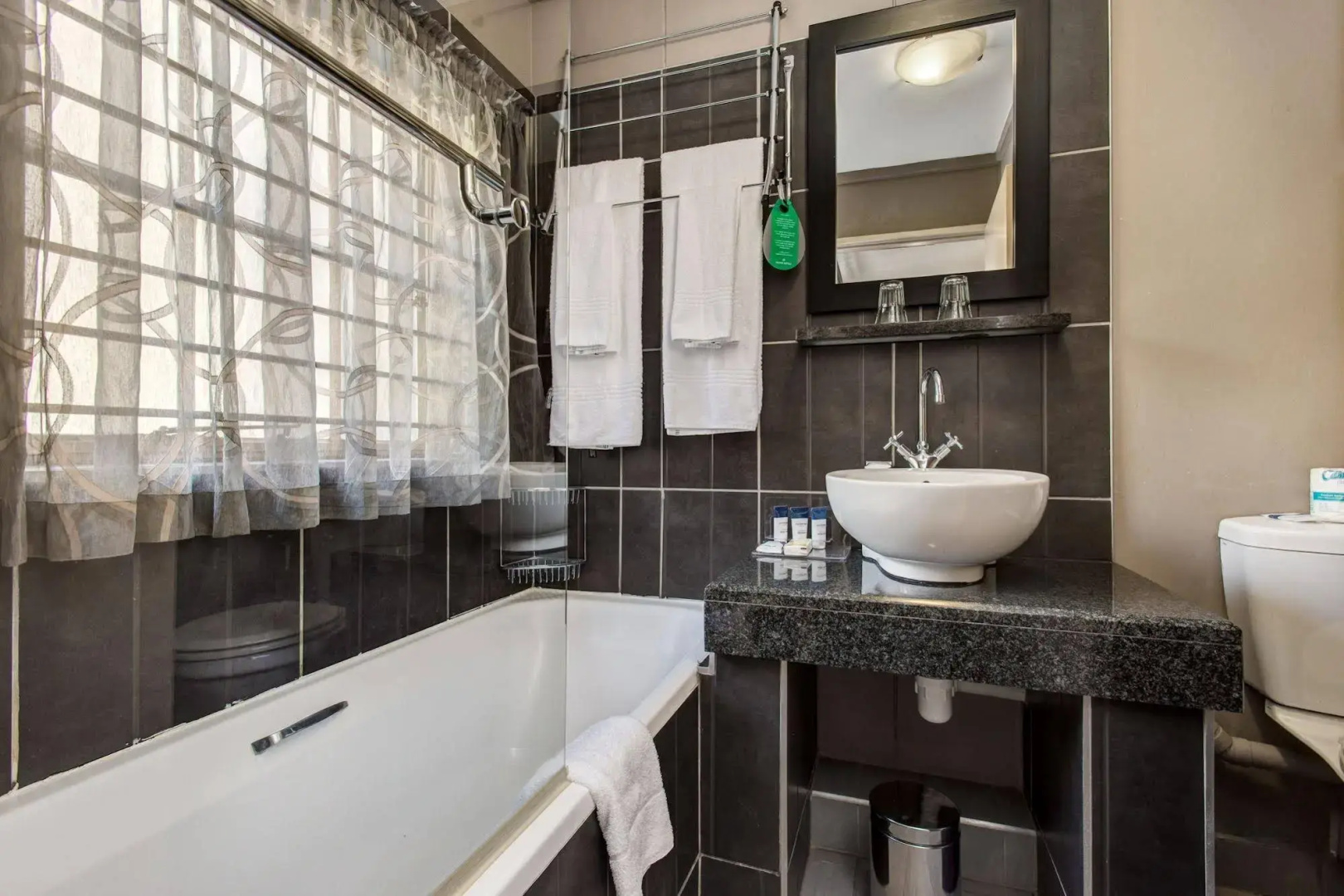 ANEW Hotel Hatfield Pretoria