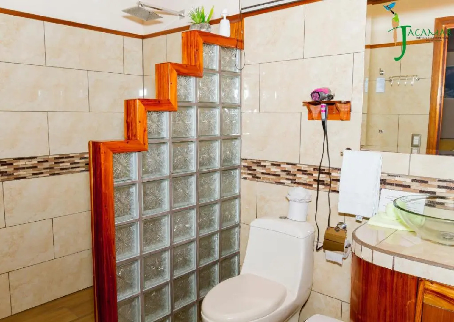 Jacamar Corcovado Drake Day