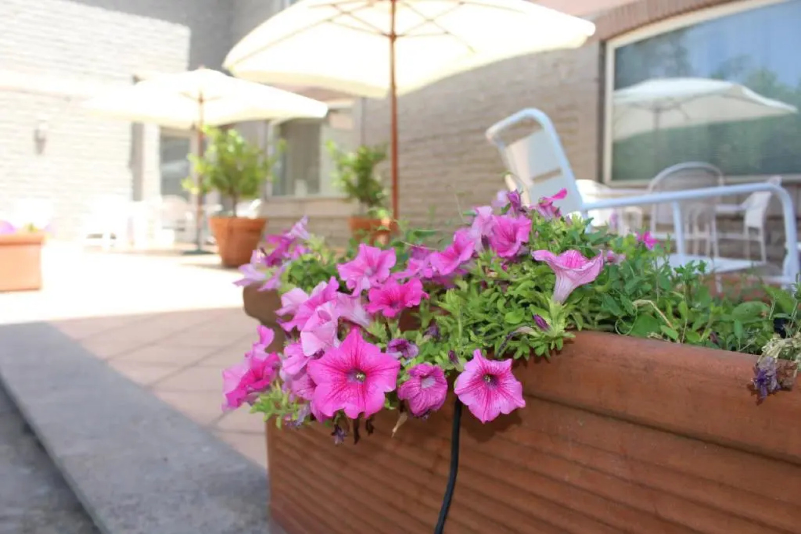 La Casa di Sofia - Casa Vacanza Monterosi