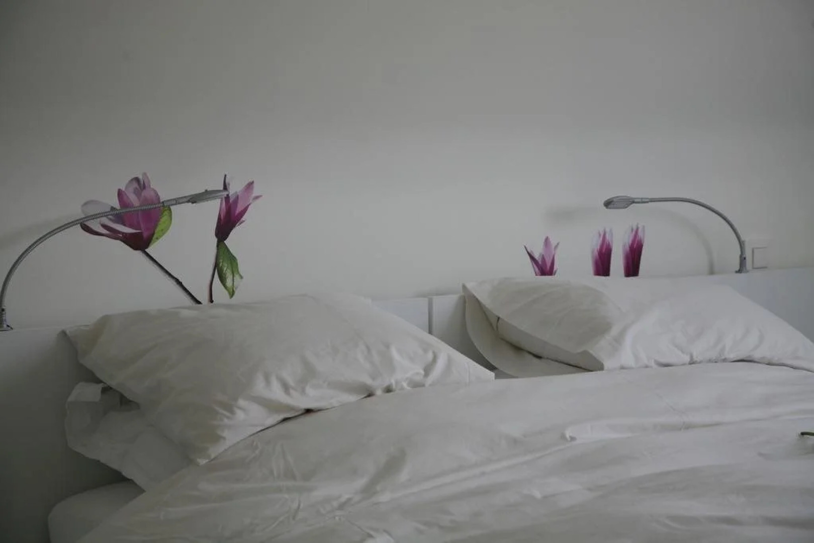 B&B Kanegem Onverbloemd