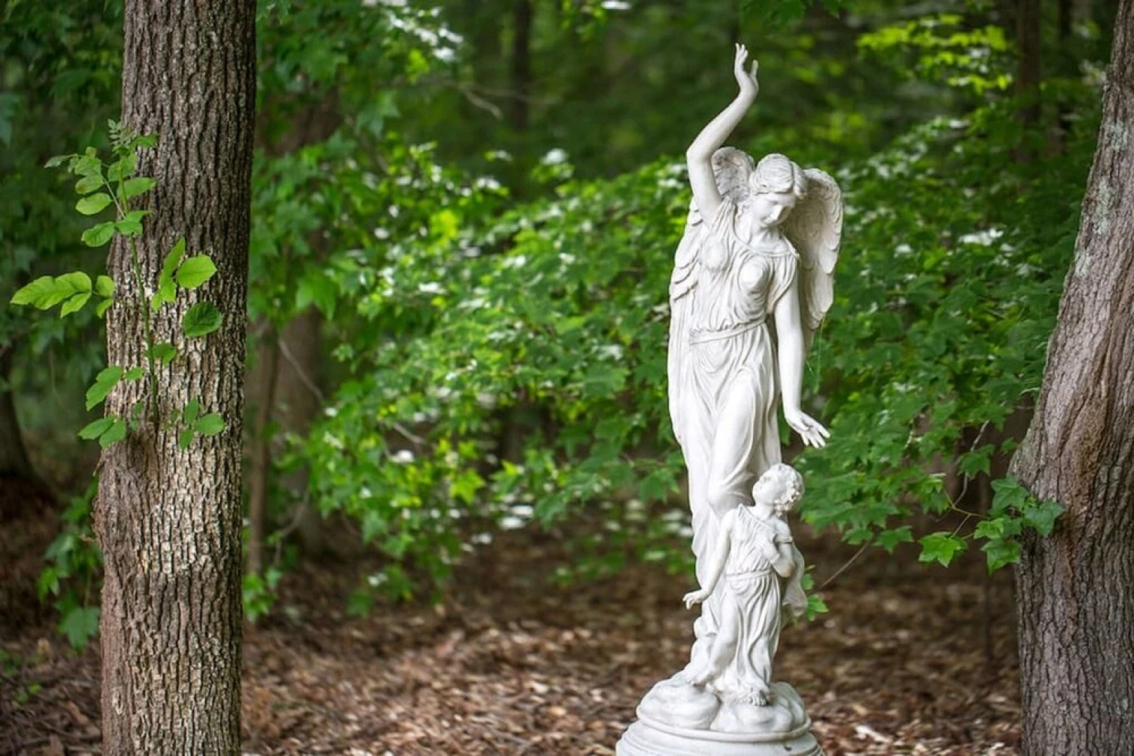 Rosewood Manor Bed & Breakfast