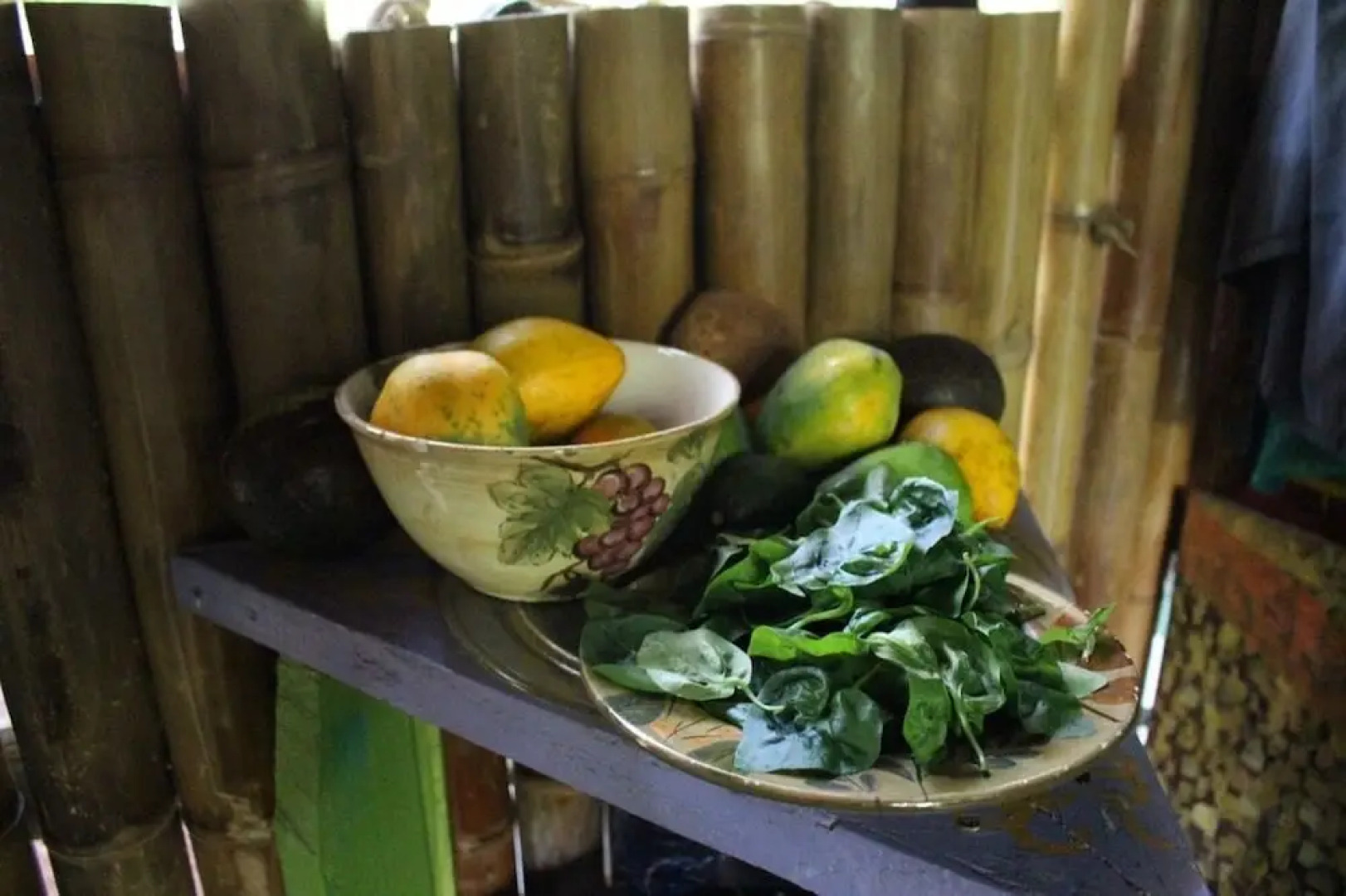 Cinderland EcoVillage - Hostel