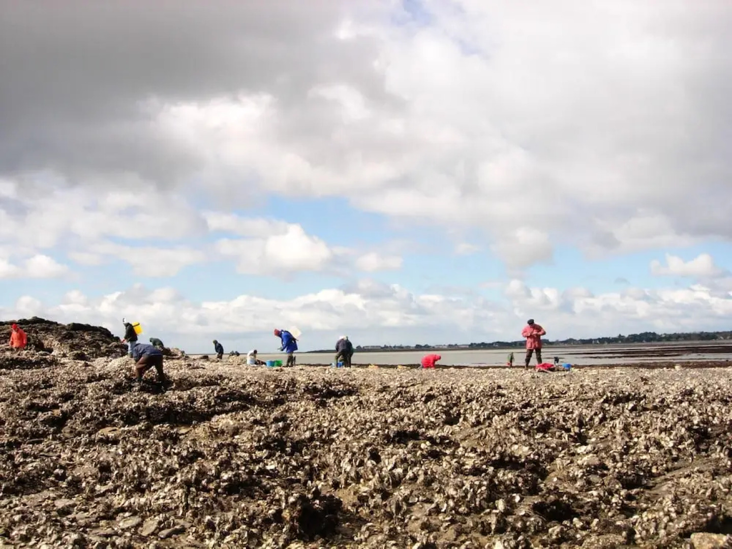 House With 2 Bedrooms in Sarzeau, With Pool Access and Enclosed Garden