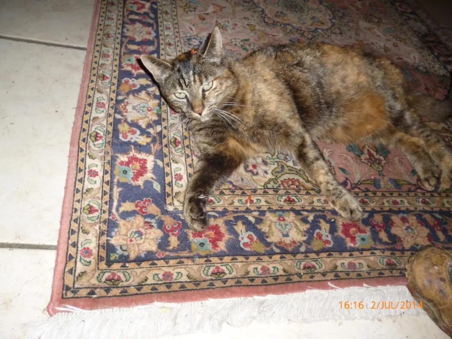 Pension Ritterkeller