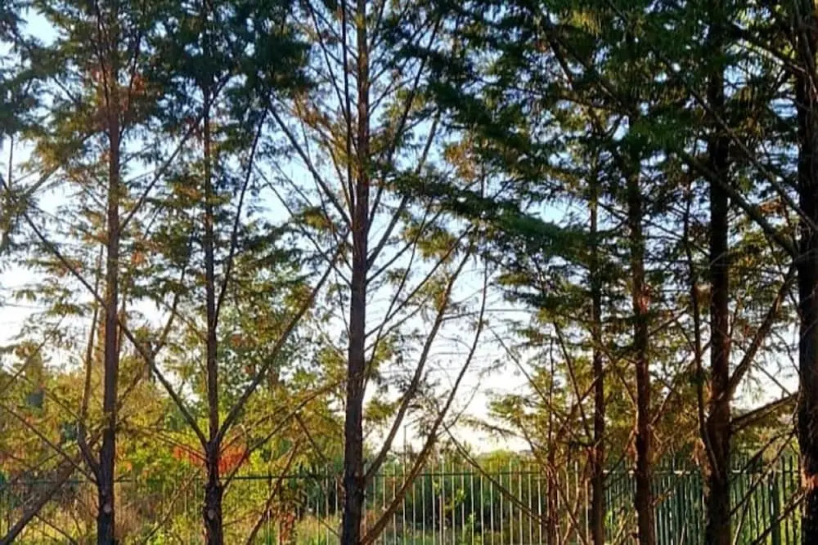 Amazing Home in Campania