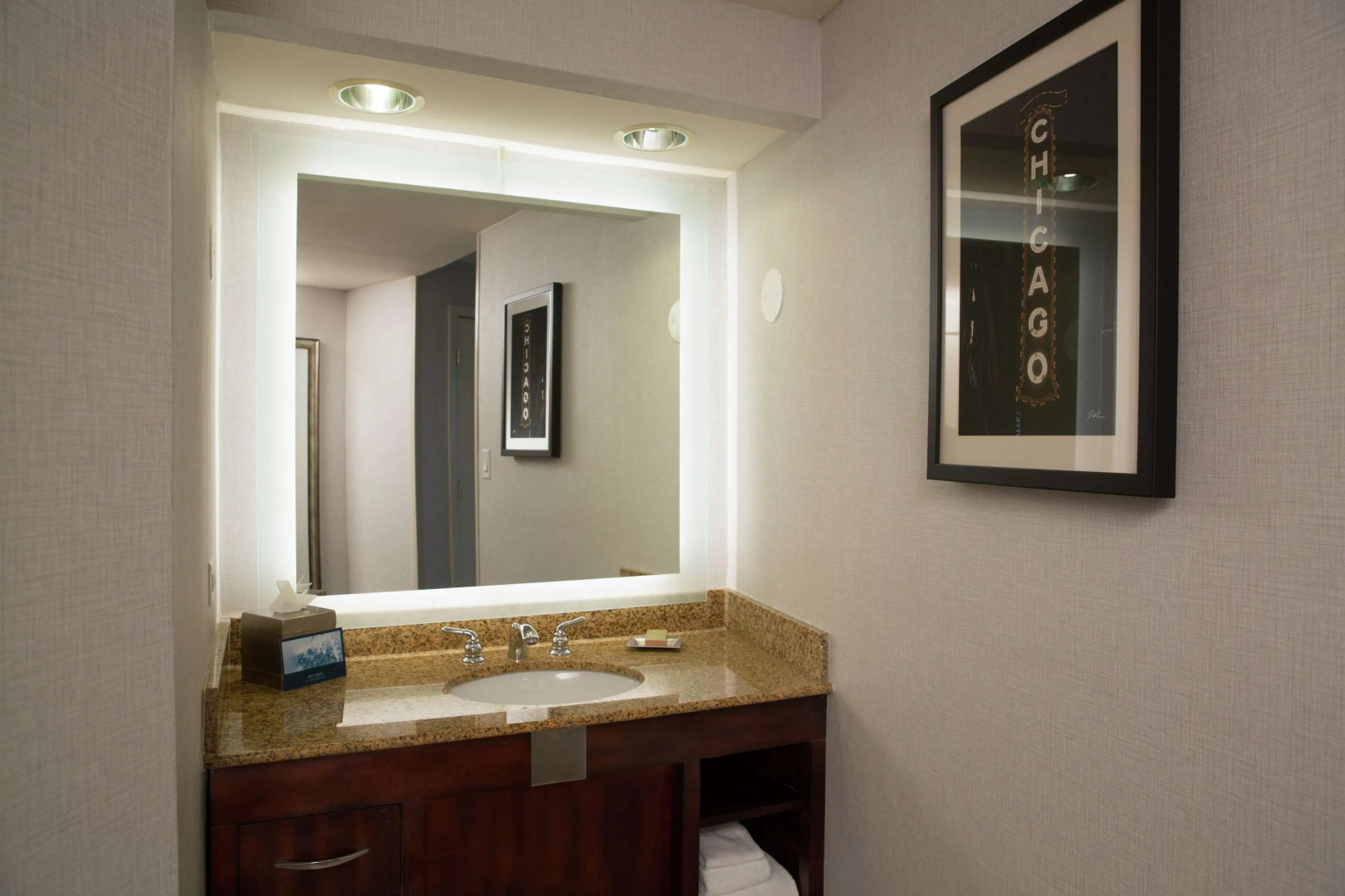 Hilton Chicago/Oak Lawn