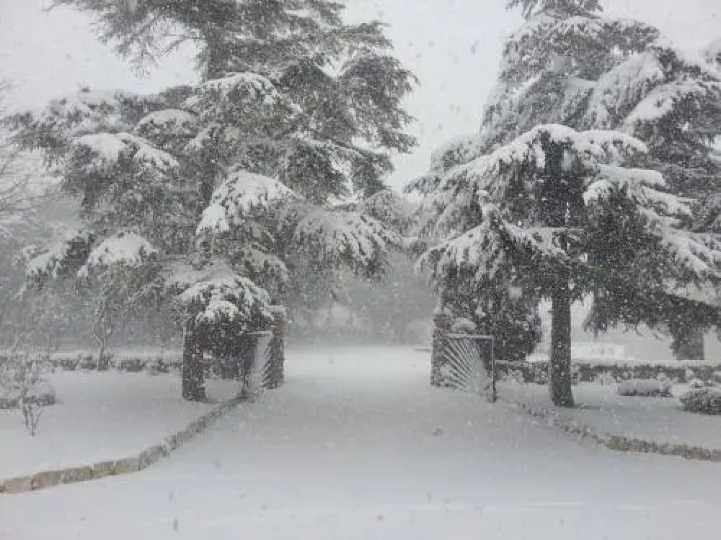 La Ferula Agriturismo Fattoria Didattica