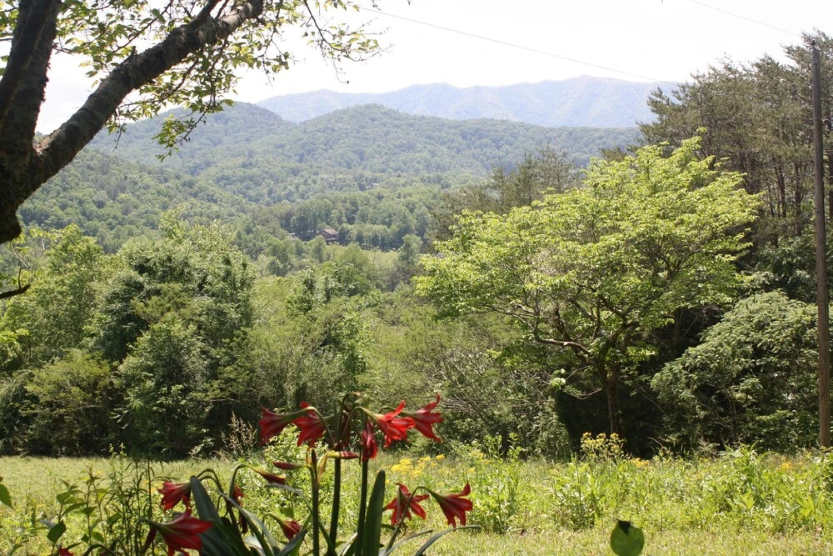 Peace Of Paradise 2 Bedroom Home by RedAwning