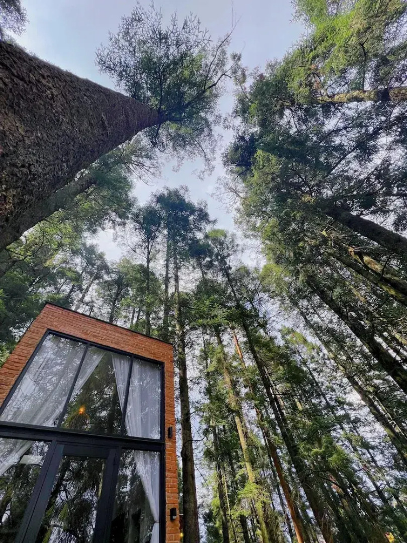 TinyChillHouse
