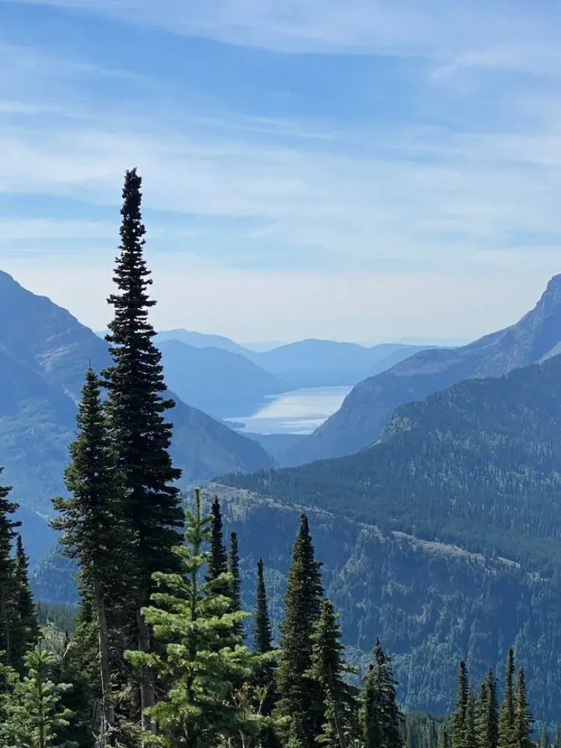 The Reclusive Moose Cabins