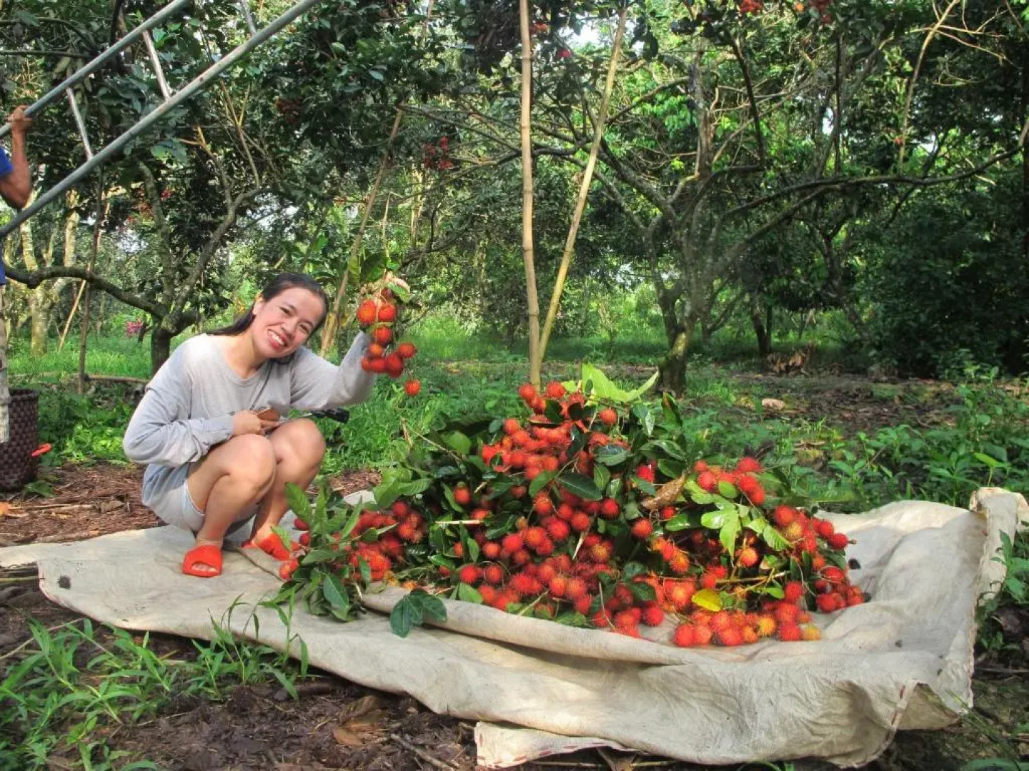 Rooster Mekong Garden & Villas