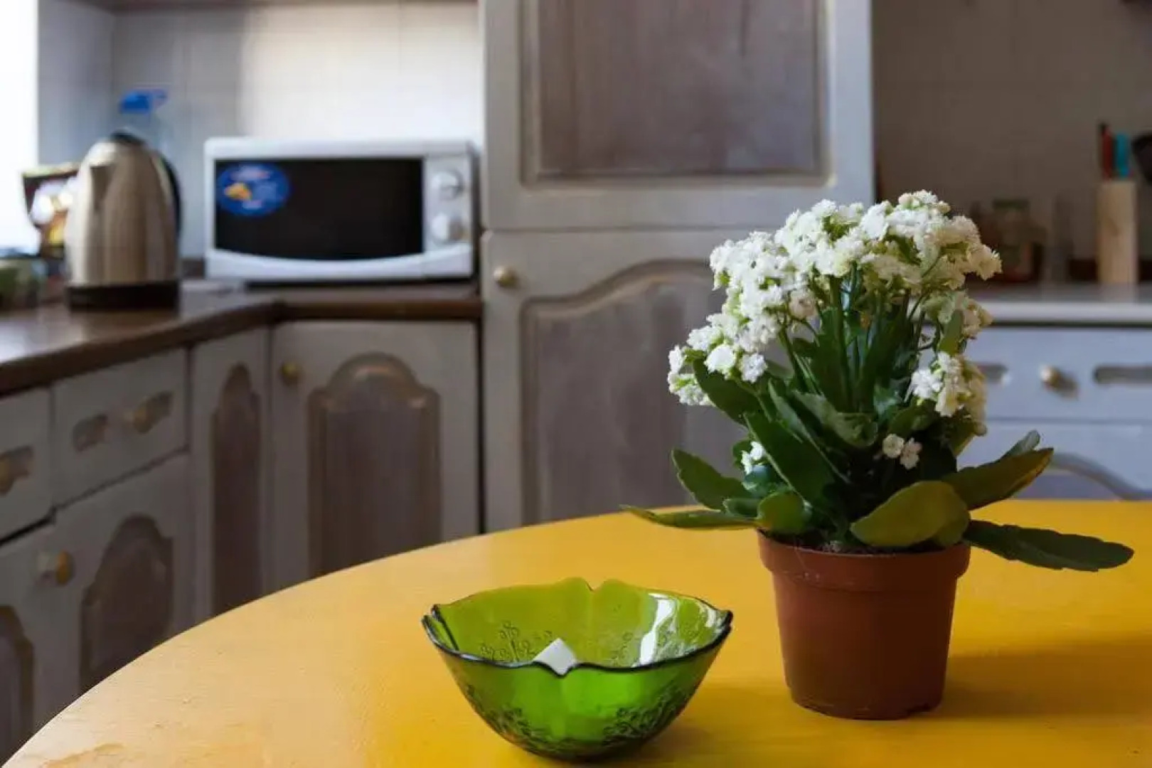 Oh So Indie House Hostel