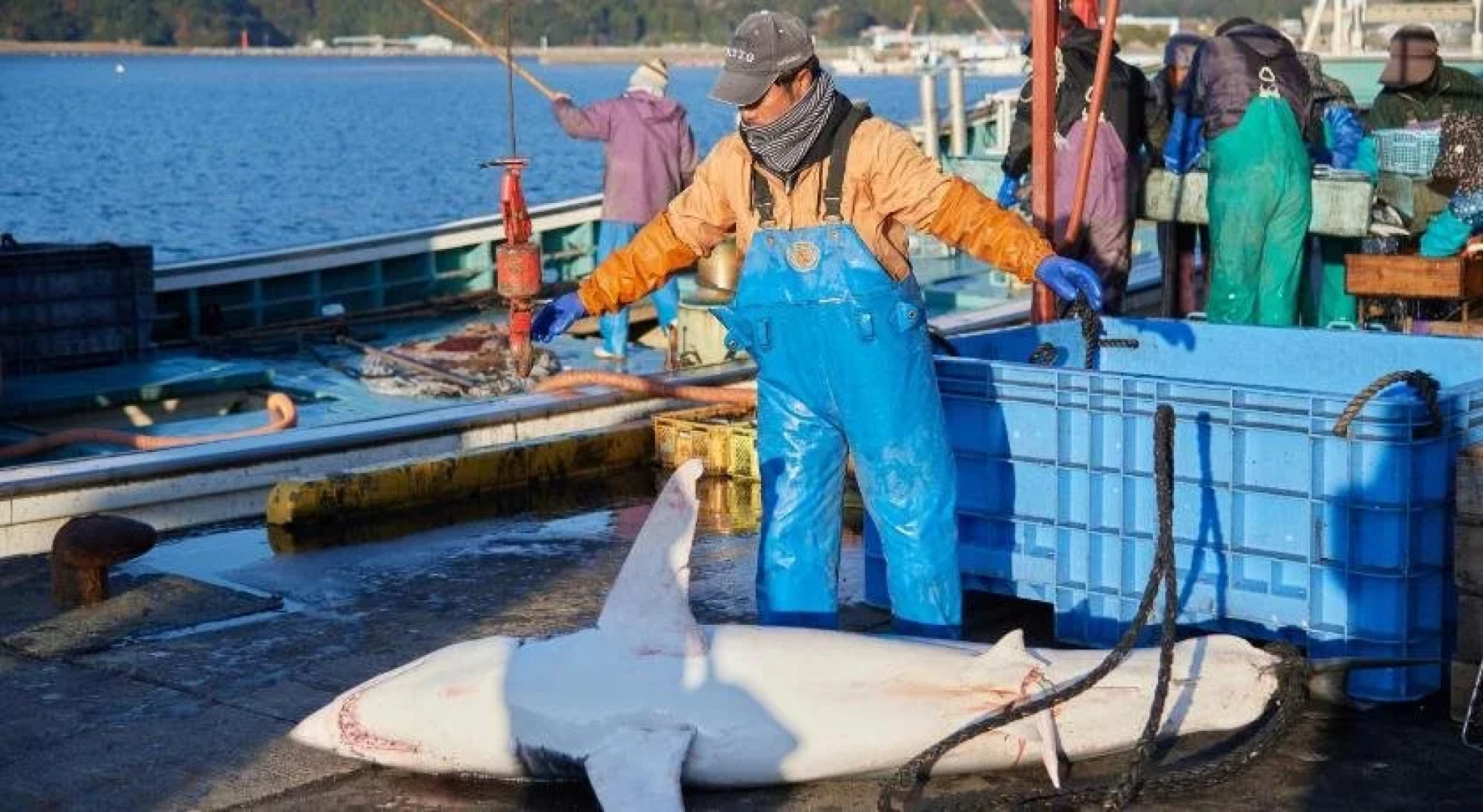 Sazareishi Takashima