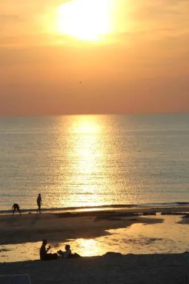 Reetdach Friesenhof Süderende