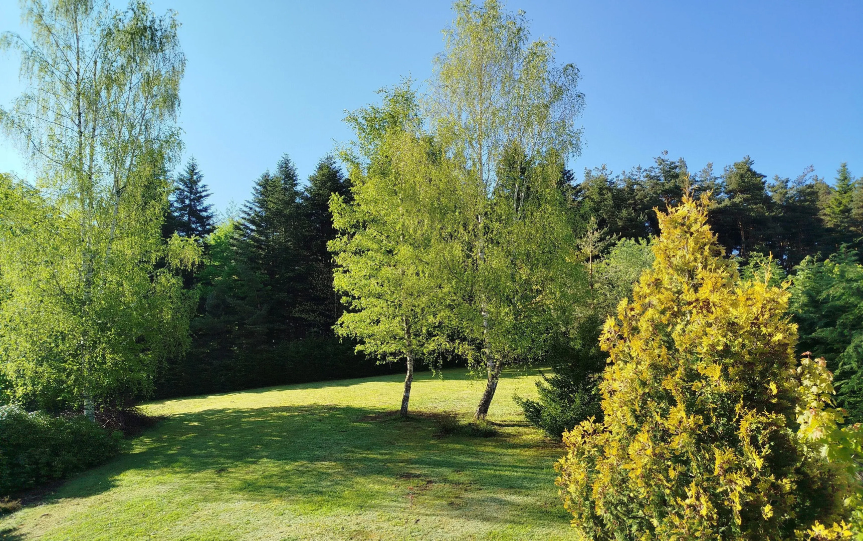 Contact Hotel Le Bois Sauvage