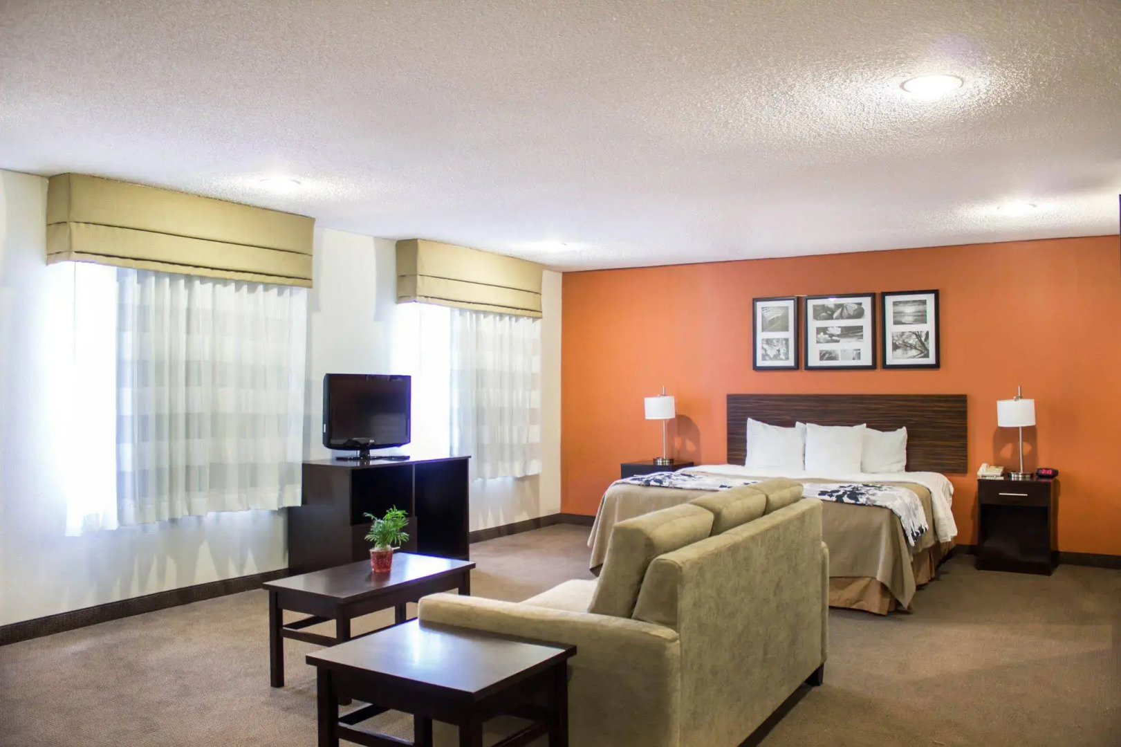 Sleep Inn Wilson near I-95