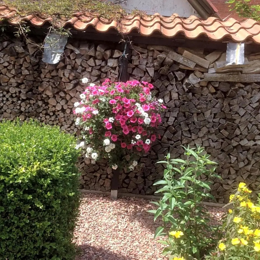 T’ Hogeland Ainrom