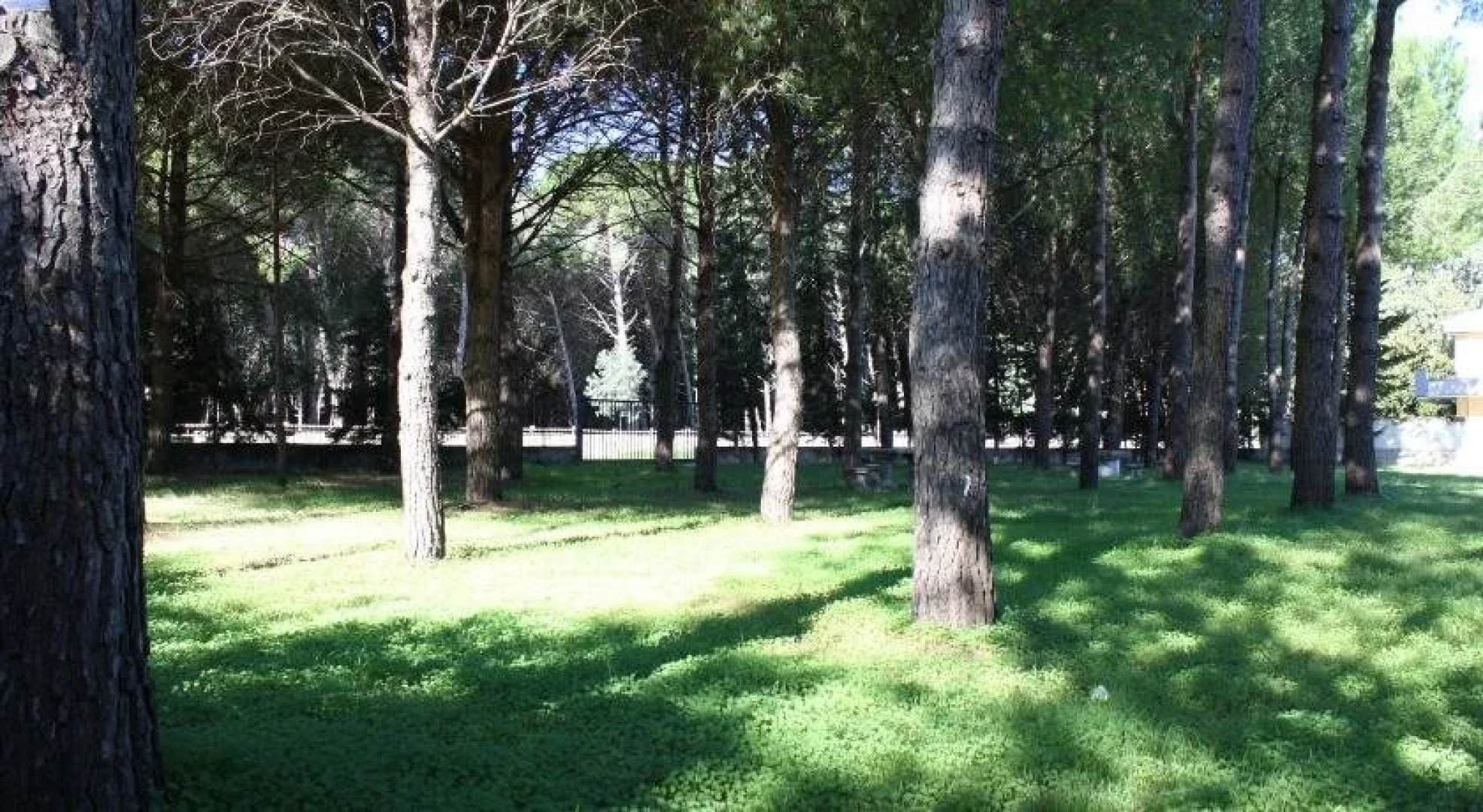 Pagliaio Della Madonna