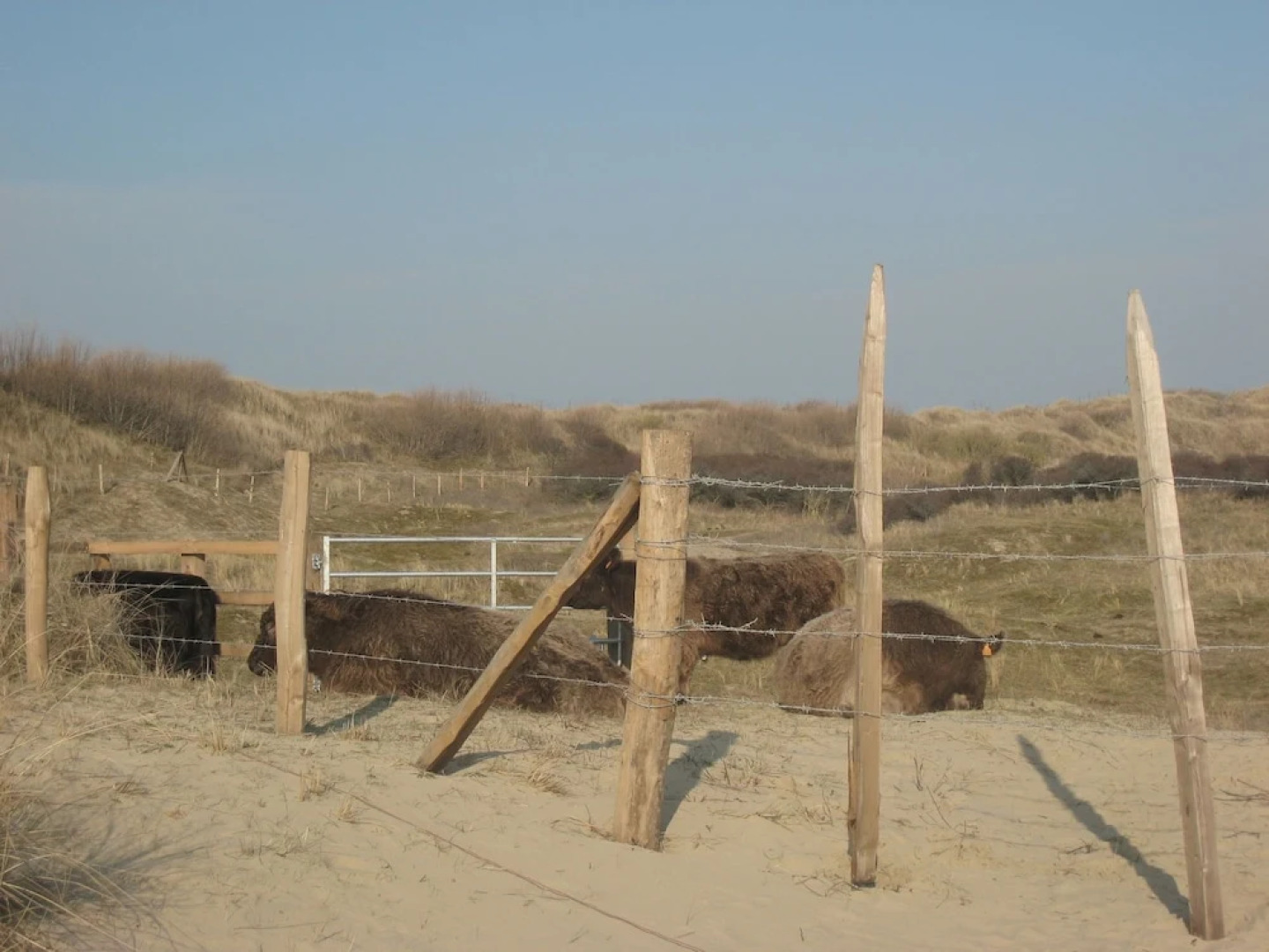 Cozy Apartment near Oostende in Bredene
