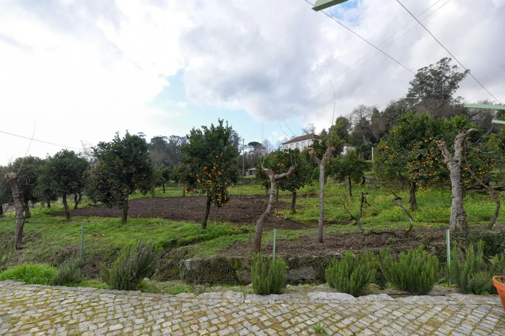 Vila Coura - Agroturismo