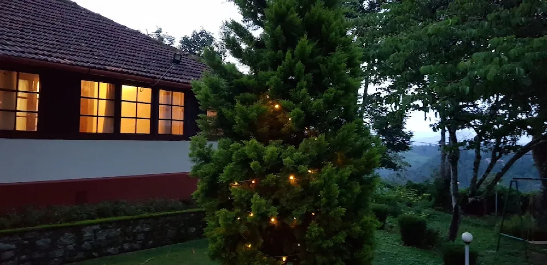 Standard Double Room-wayanad