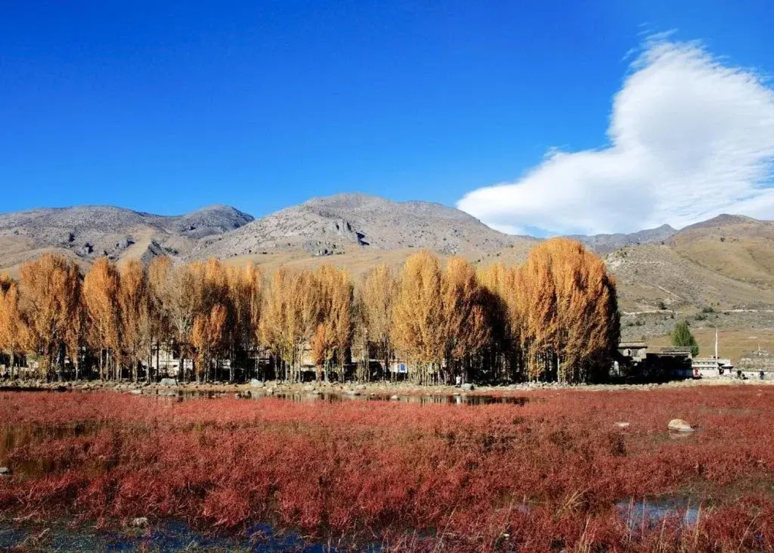 Daocheng Manju Saka Boutique Inn