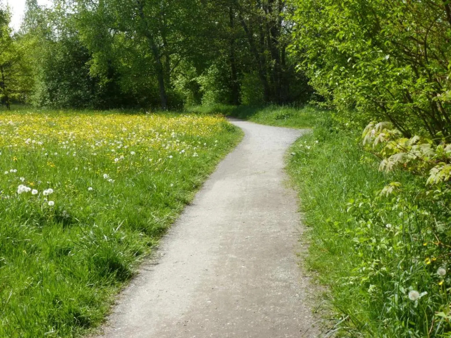 Ferienwohnung in Kempten am Stadtweiher