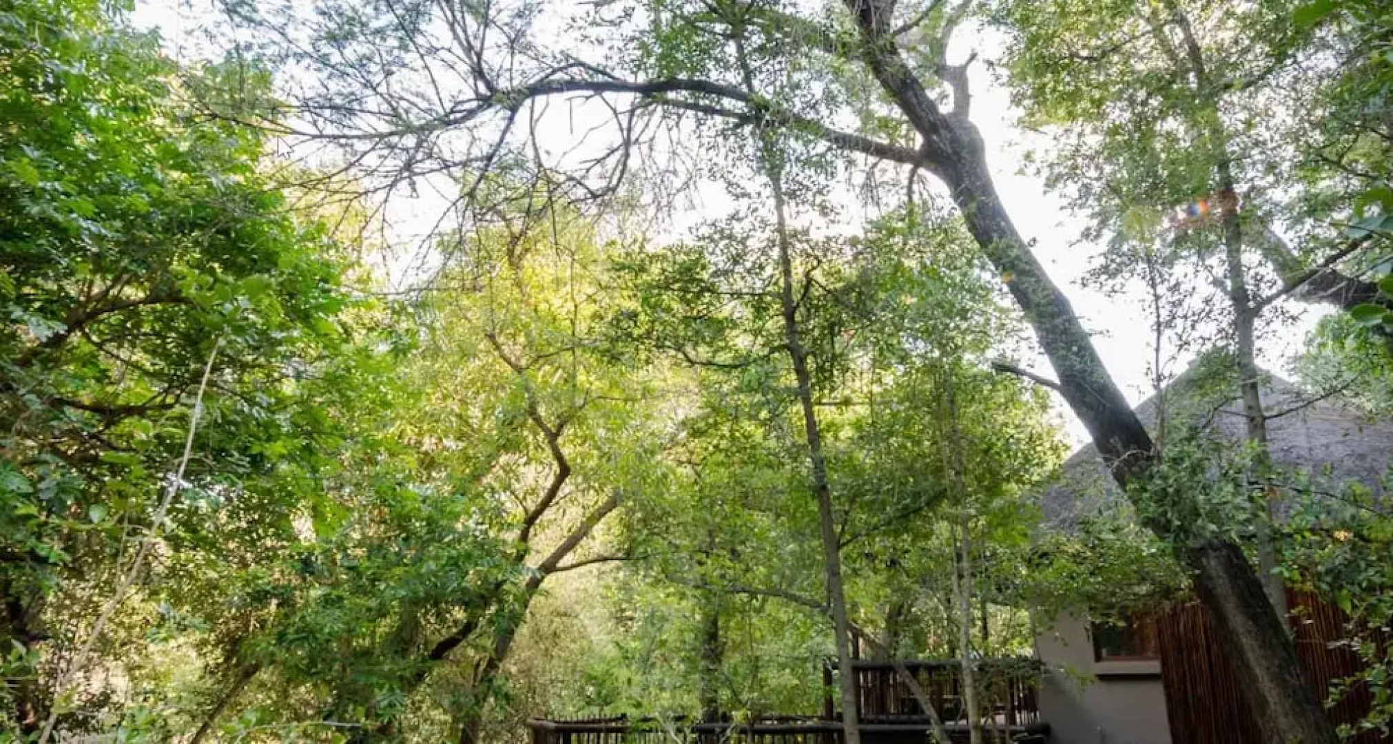 The Island River Lodge