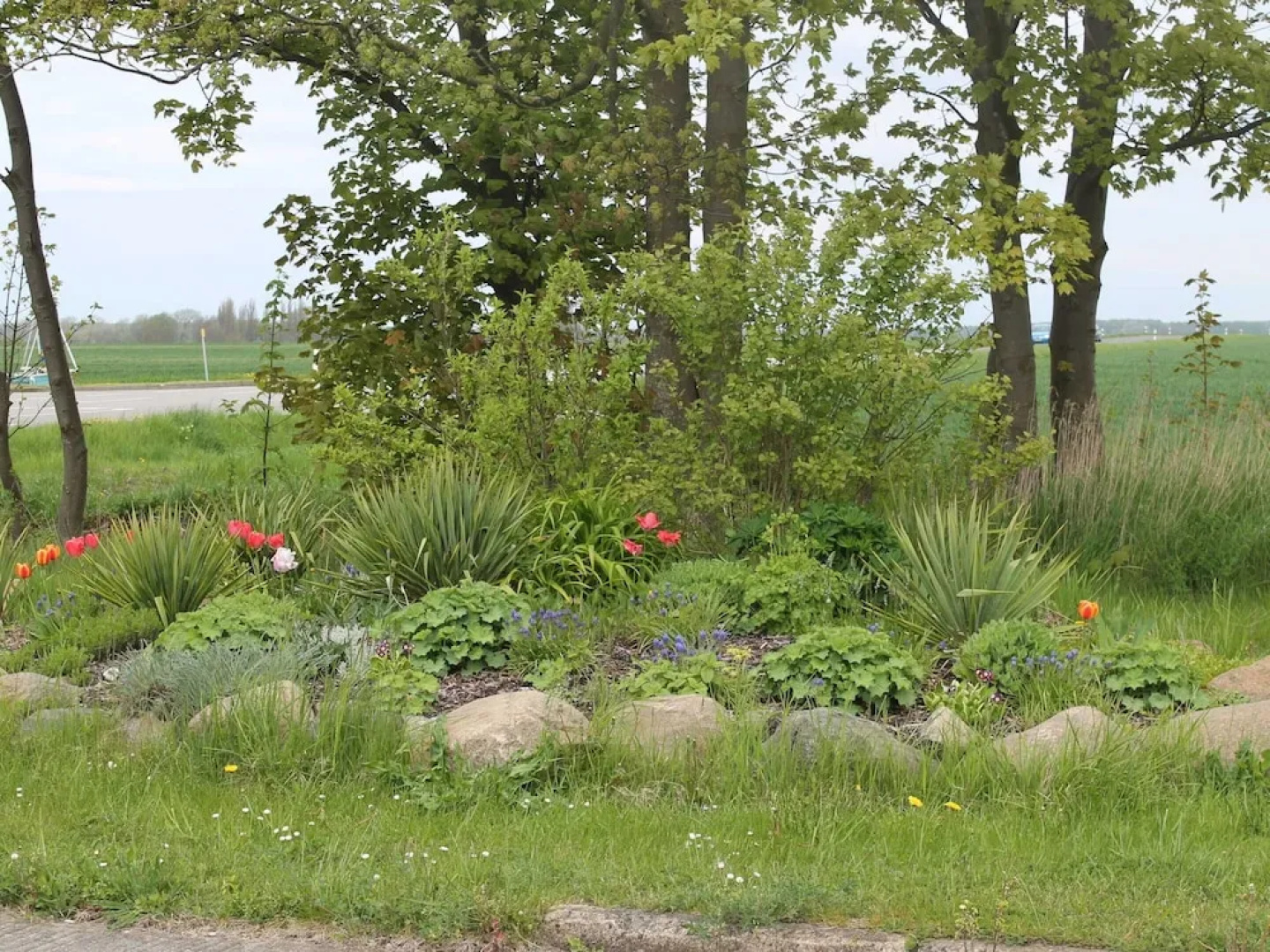 Wunderschoene Ferienwohnung mit Garten