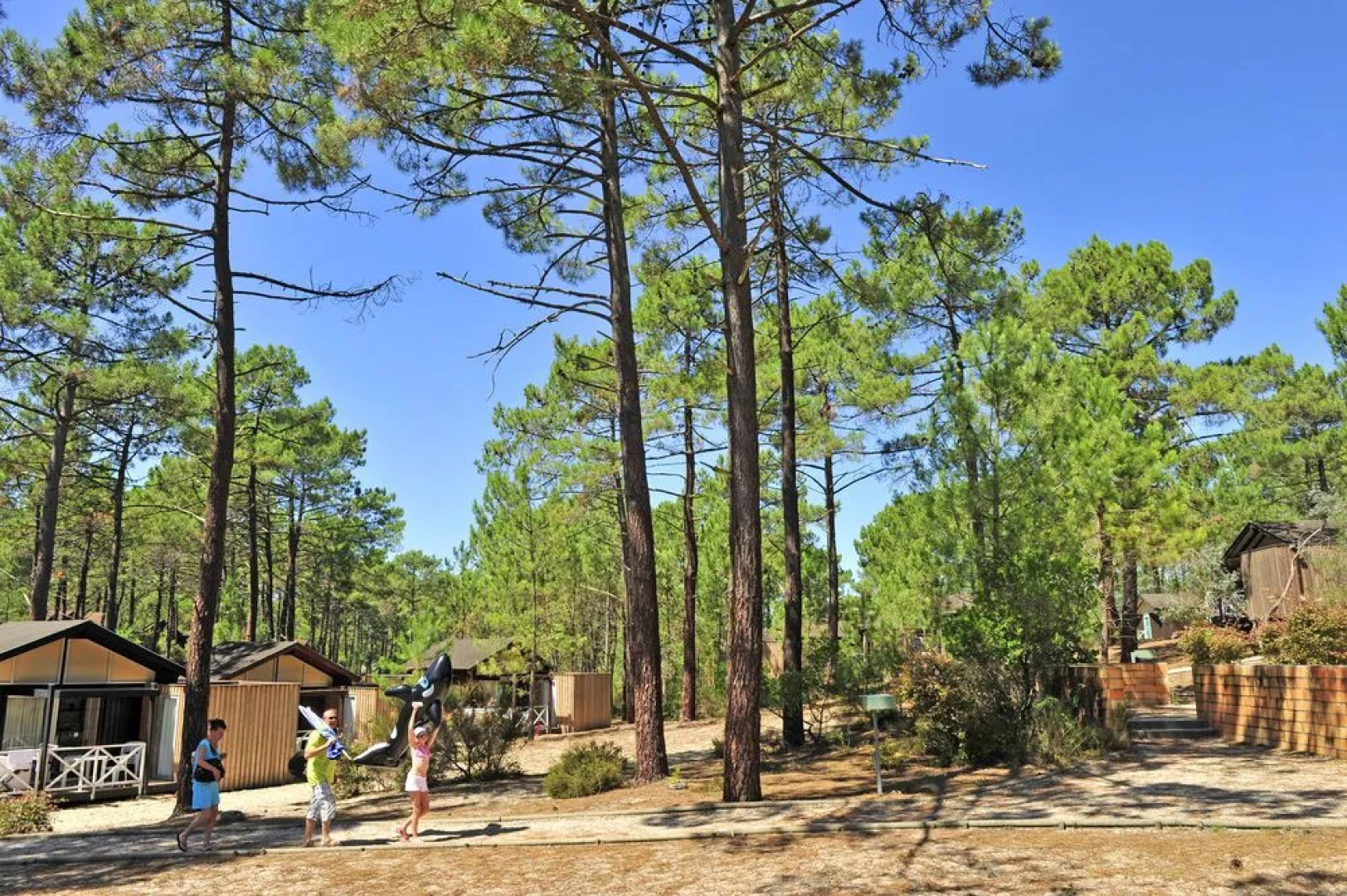 Les Oyats Sylvadoures