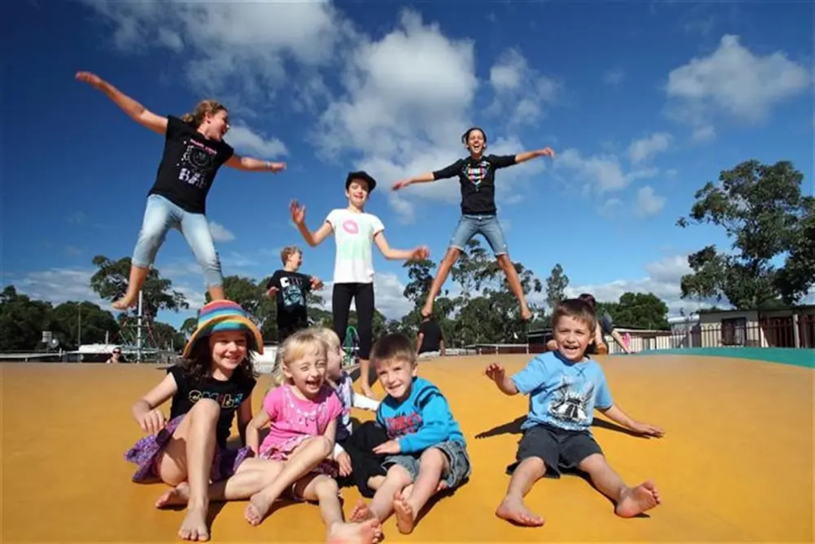 Holiday Haven Swan Lake