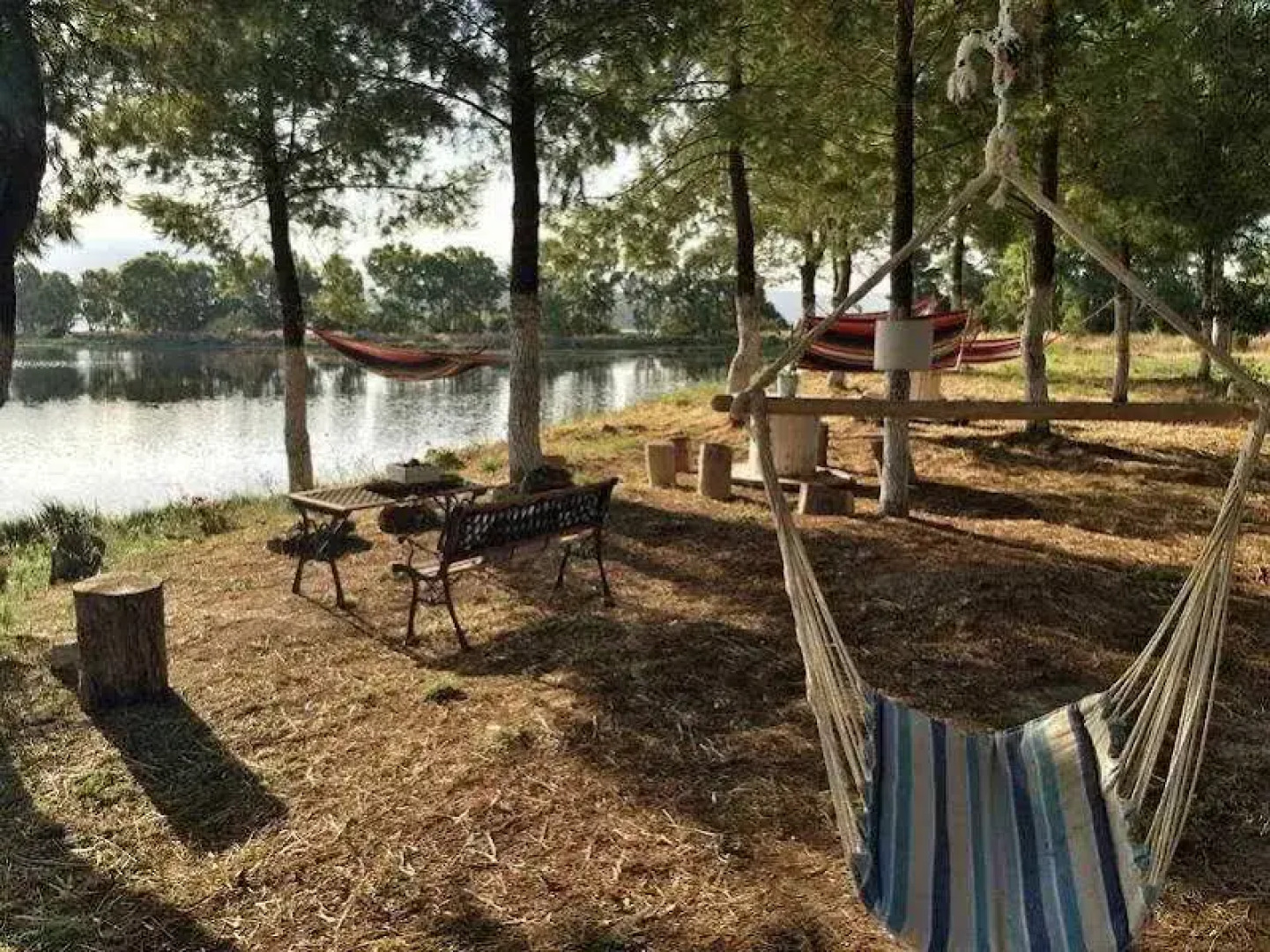 Villa Olga Apartments & Studios