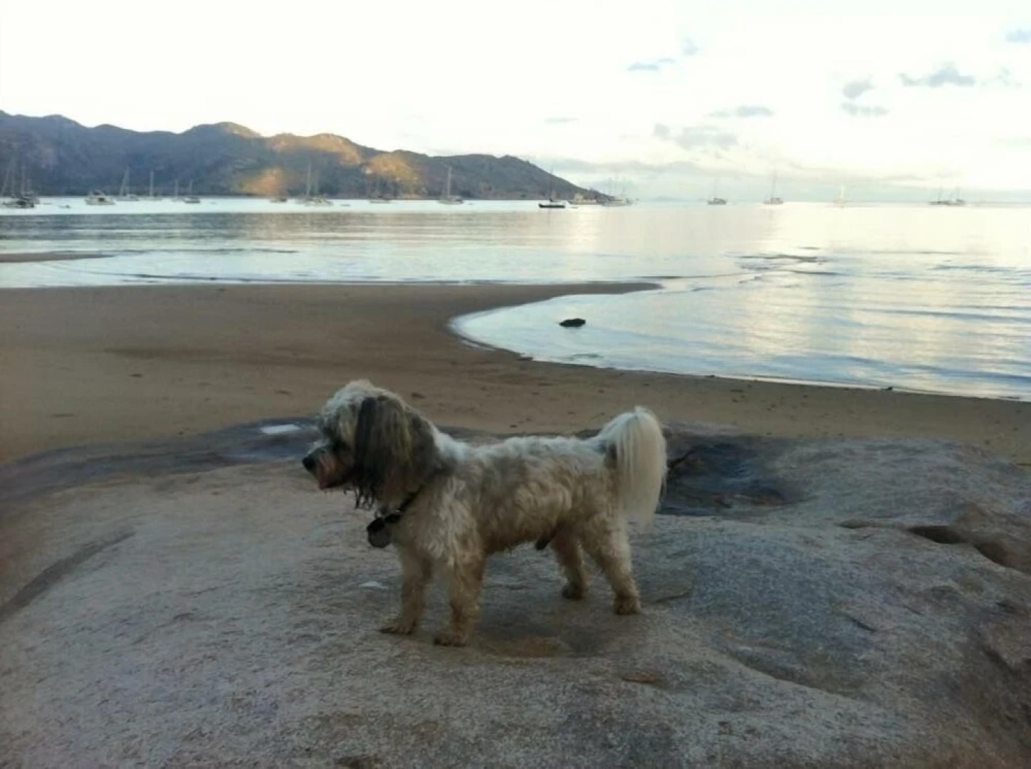 Boutique Apartments Beach Location