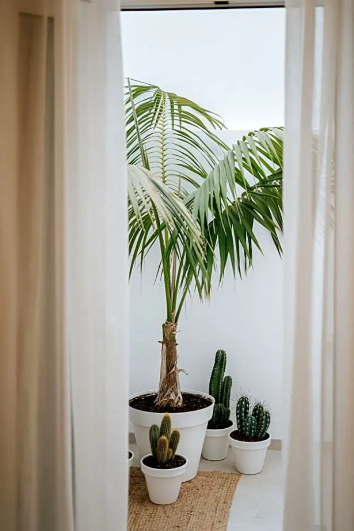 Emblemático F24-Only Adults B&B