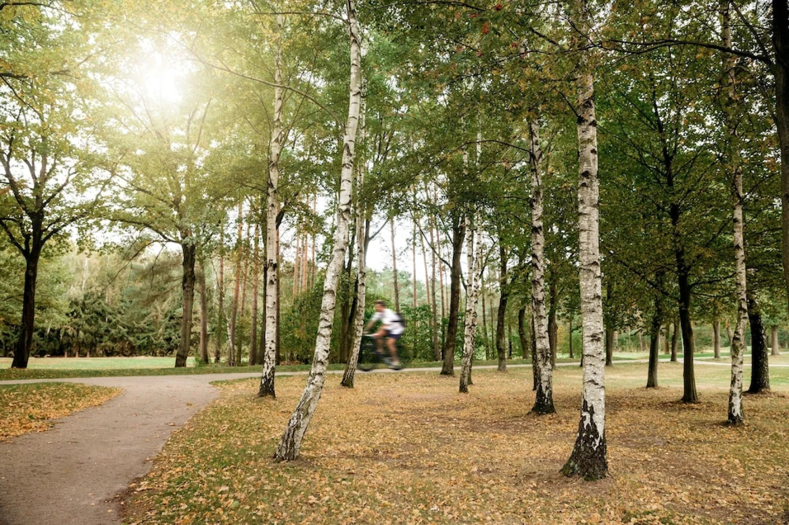 Seehotel am Tankumsee