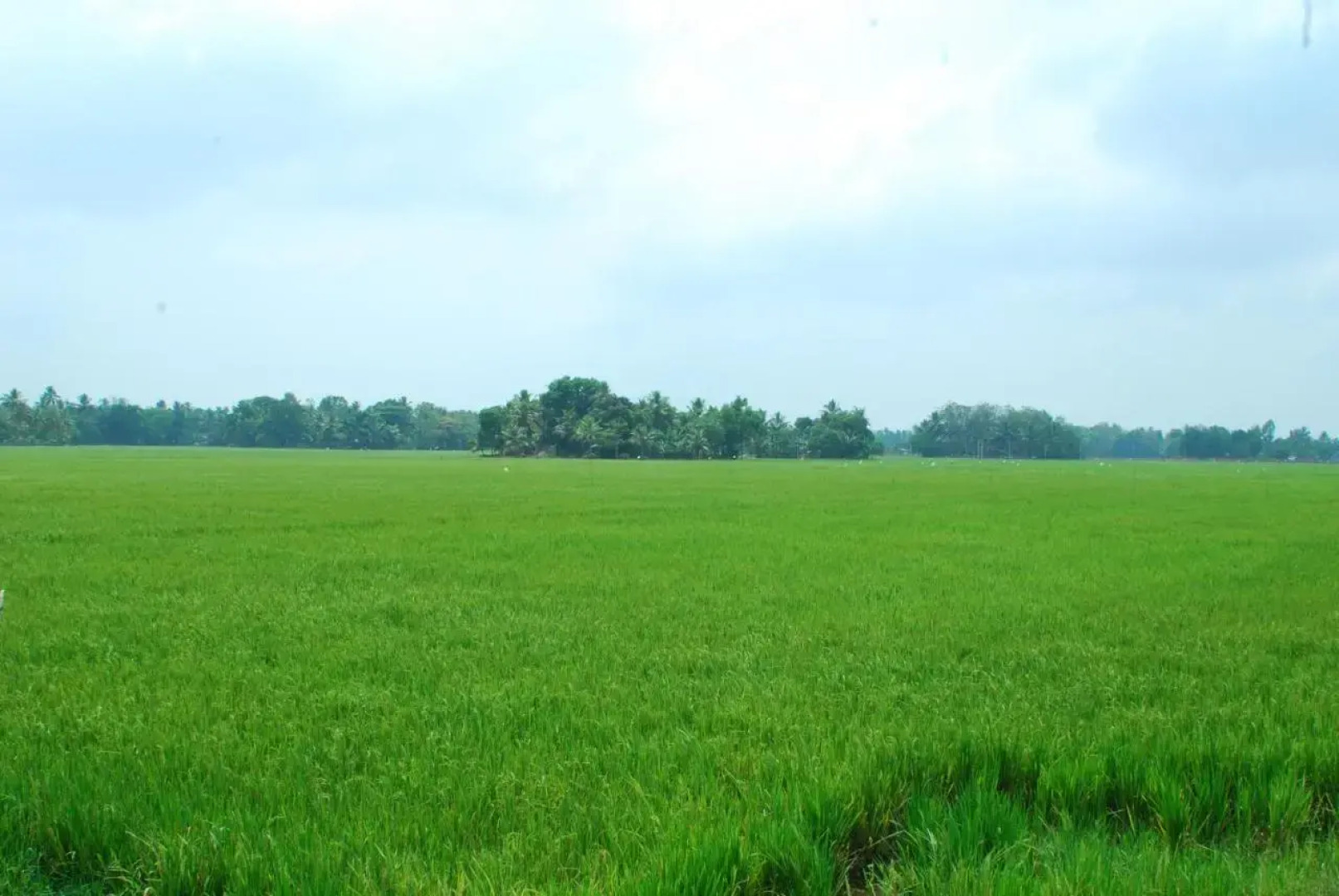 Triveny River Palace