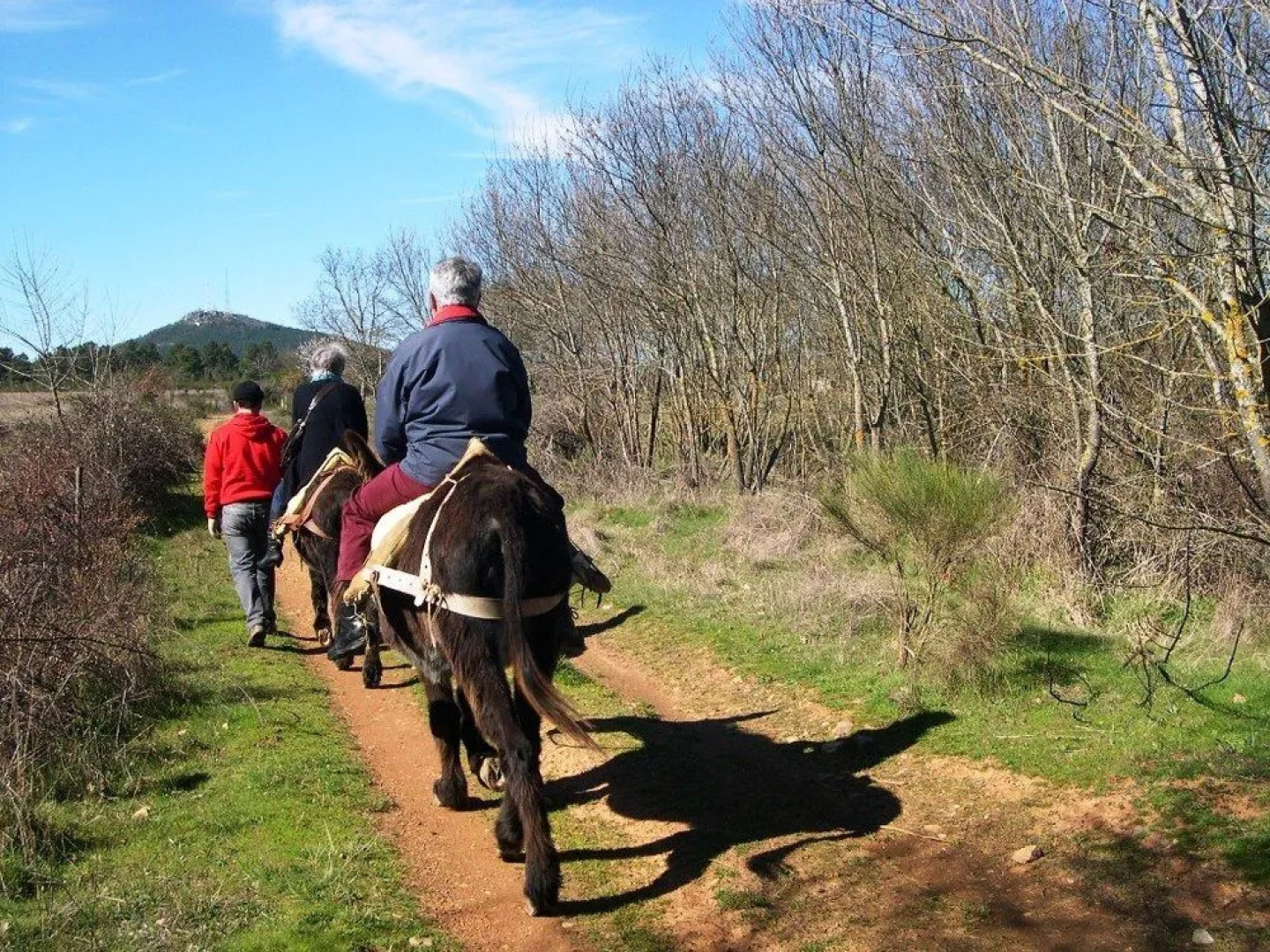 Hospedaria do Convento d'Aguiar- Turismo de Habitacao