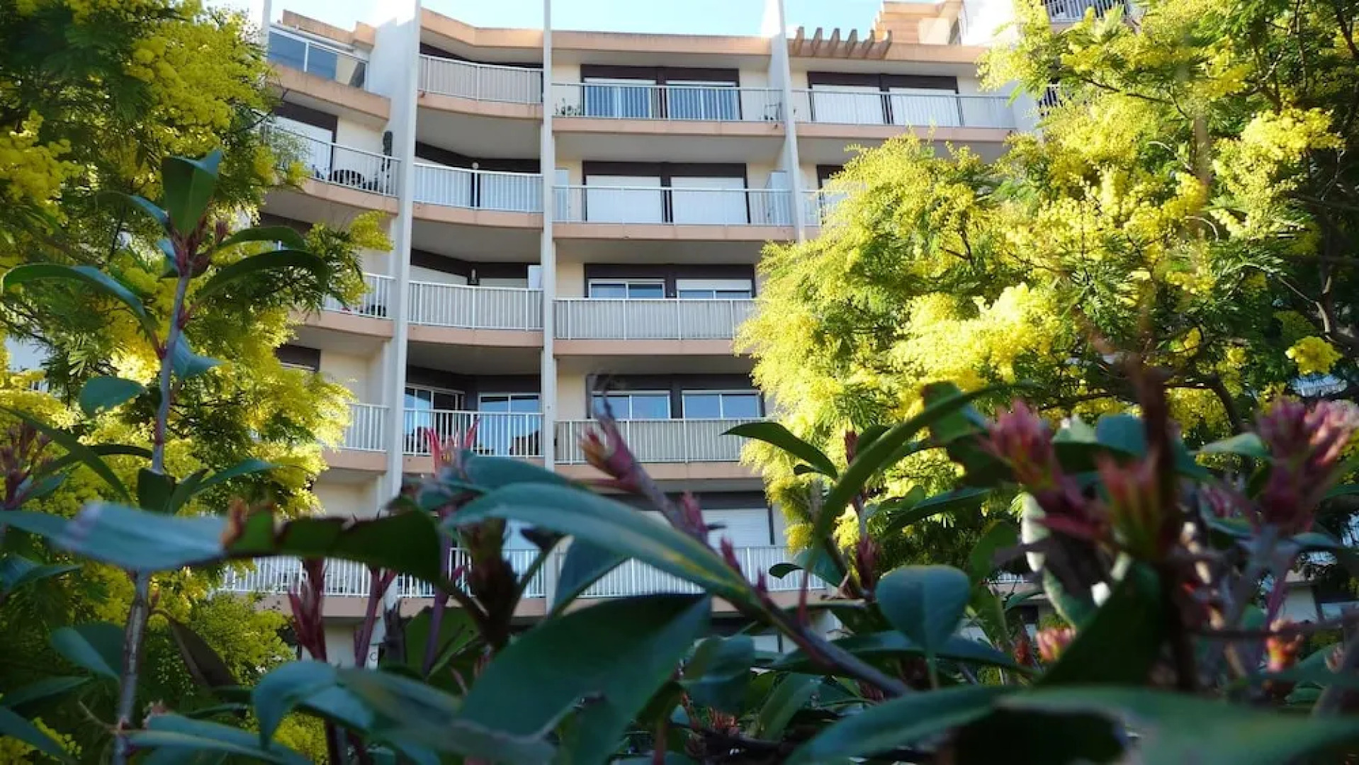 Apartment With one Bedroom in Mandelieu-la-napoule, With Wonderful Mou