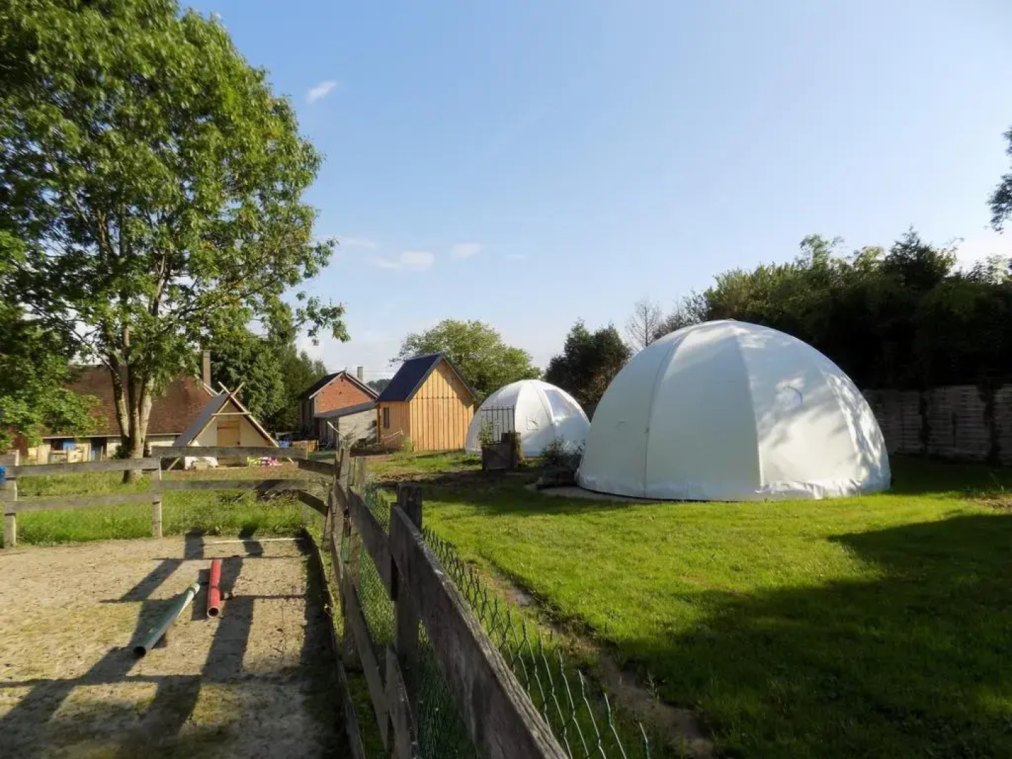 La chouette étoilée